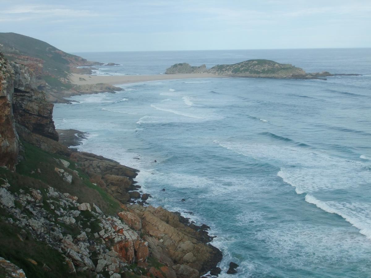 Dolphins' Playground Beachfront B&B Plettenberg Bay Ngoại thất bức ảnh
